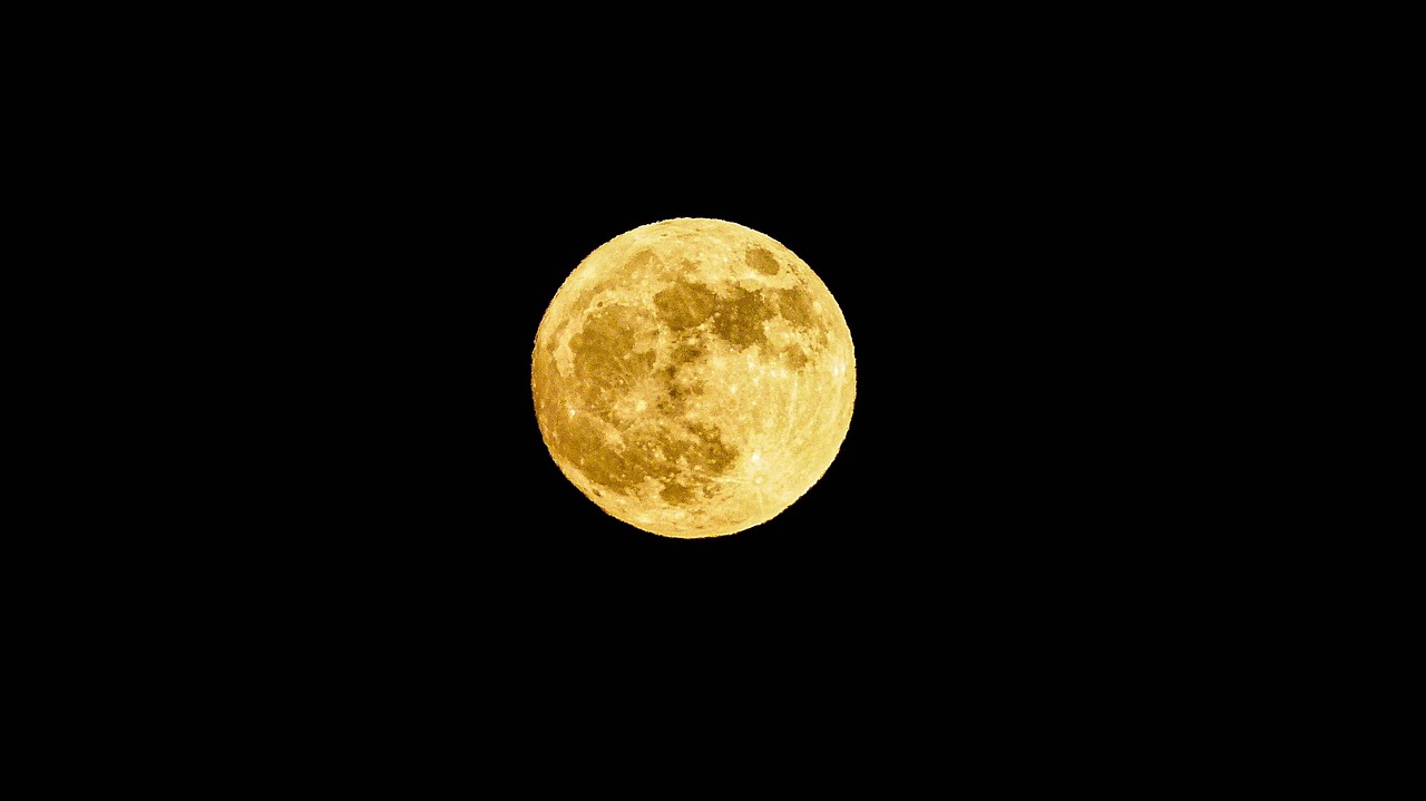 What are Free Bets When You Sign Up: Step-by-Step Guide for India (2026)